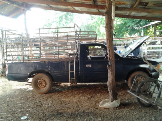 ***ขายแล้วครับขอบคุณ Truck2hand ขาย มังกรทองตอนเดียว 90HP ราคาเบาๆ ISUZU SPARK EX 2.5 ปี35/92 เครื่องเดิม4JA1 2.5 90HP แห้ง แรงดี ติดง่ายไม่มีเยิ้ม ช่วงล่างดี คัสซีได้ มีเริมผุนิดๆช่วงปลายโช๊คหลังไปท้าย กระบะผุต้องเปลี่ยน หัวบางสีเดิมภายในดีคอนโซลครบ แอร์