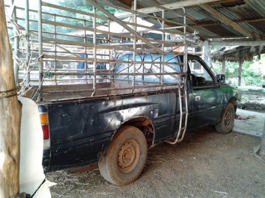 ***ขายแล้วครับขอบคุณ Truck2hand ขาย มังกรทองตอนเดียว 90HP ราคาเบาๆ ISUZU SPARK EX 2.5 ปี35/92 เครื่องเดิม4JA1 2.5 90HP แห้ง แรงดี ติดง่ายไม่มีเยิ้ม ช่วงล่างดี คัสซีได้ มีเริมผุนิดๆช่วงปลายโช๊คหลังไปท้าย กระบะผุต้องเปลี่ยน หัวบางสีเดิมภายในดีคอนโซลครบ แอร์