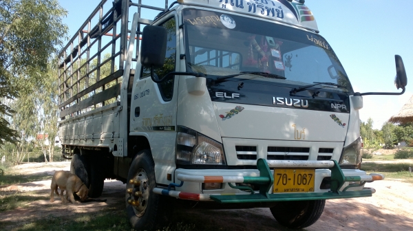 ขาย NPR 130 โบ ปี 50 ยาว 5 เมตร ขาย NPR 130 โบ ปี 50 ยาว 5 เมตร