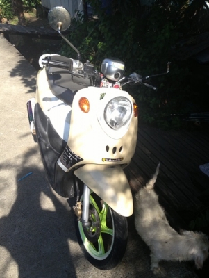 ขายครับ เอกสารครบพร้อมโอน