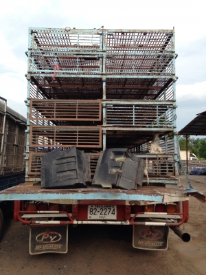 ขาย6ล้อISUZUเดก้า195ยาว7เมตร รถห้างแท้คัตซีใหญ่ตลอดเส้น ขาย6ล้อISUZUเดก้า195ยาว7เมตร รถห้างแท้คัตซีใหญ่ตลอดเส้น