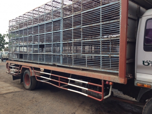 ขาย6ล้อISUZUเดก้า195ยาว7เมตร รถห้างแท้คัตซีใหญ่ตลอดเส้น ขาย6ล้อISUZUเดก้า195ยาว7เมตร รถห้างแท้คัตซีใหญ่ตลอดเส้น