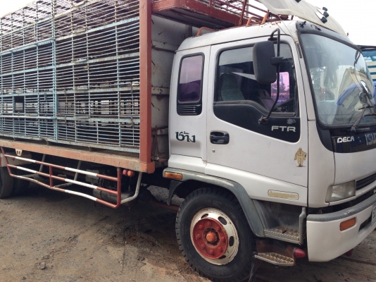 ขาย6ล้อISUZUเดก้า195ยาว7เมตร รถห้างแท้คัตซีใหญ่ตลอดเส้น