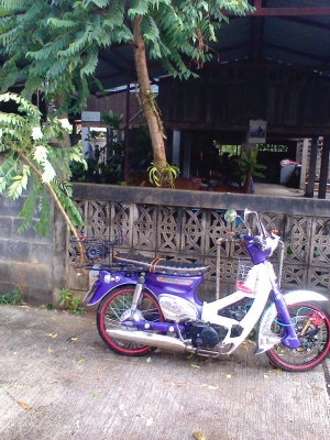 ขาย C70 เครื่องเดิมดีขี่ได้ 12,000 มีเล่มส้มแต่โอนไม่ได้