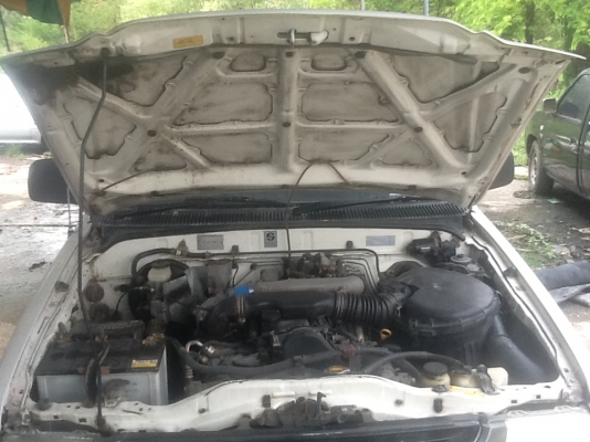 2002 TOYOTA, HILUX TIGER 2.5 J STANDARD CAB D4D โฉม SINGLE CAB ปี01-03