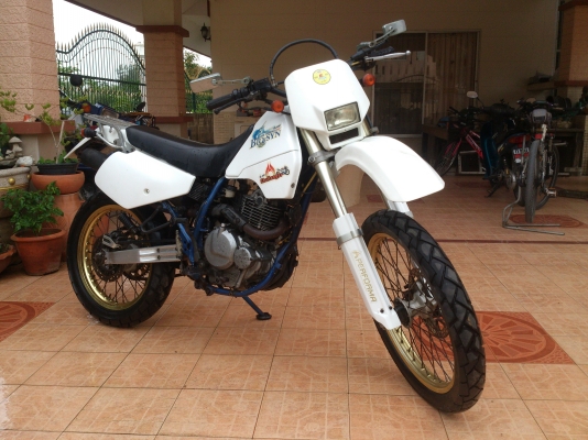 ขาย ซูซูกิ dr250