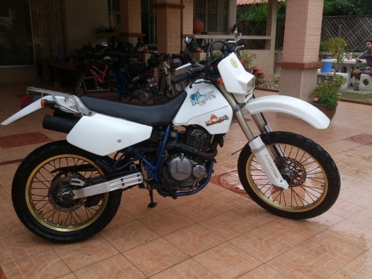 ขาย ซูซูกิ dr250