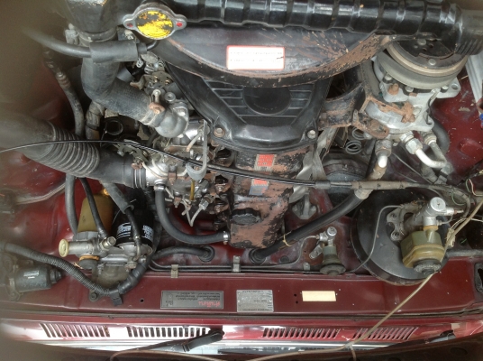 ขายไมตี้แคป