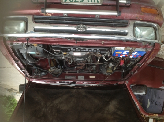 ขายไมตี้แคป