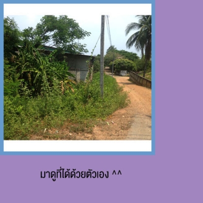 ขายที่ดินเปล่าด่วนขายถูก เดินทางสะดวก ที่สันป่าตอง เชียงใหม่