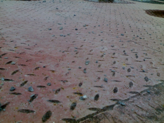 พื้นเรียบ ยาว12.5 ม. ยางใหม่ 8 เส้น สองเพลา (เจ้าของขายเอง ต่อรองได้อีก 080-1897909) พื้นเรียบ ยาว12.5 ม. ยางใหม่ 8 เส้น สองเพลา (เจ้าของขายเอง ต่อรองได้อีก 080-1897909)