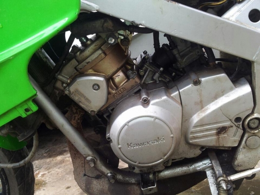 ขาย KR 150 เสื้อทอง 6900