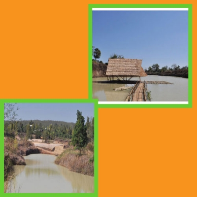 ขายที่ดิน วิวดอย12 ไร่ ด่วน ทำเลงาม ที่หางดง เชียงใหม่