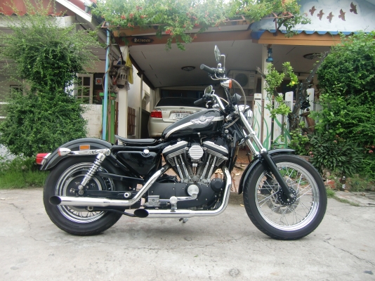 hd sportster 883 100ปี พร้อมทะเบียน แท้ๆ 2003 To 0879728284 hd sportster 883 100ปี พร้อมทะเบียน แท้ๆ 2003 To 0879728284
