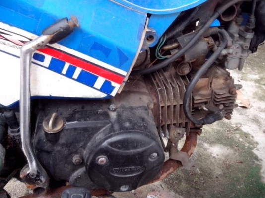 ขายเครื่องtiger120 cc เครื่องติด ขายเครื่องtiger120 cc เครื่องติด