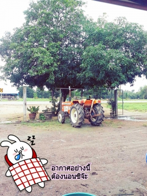 ขายผาน5 LCS ใบ22เต็ม12500สวยๆเดิมๆคับ แอ็ฟ 088-4267077