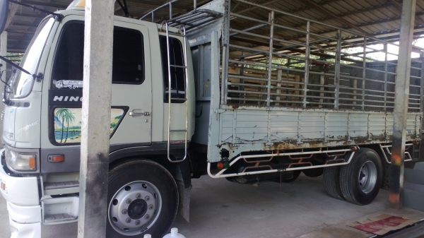 6ล้อรั้วFF3HJL 195แรง ห้างแท้ หัวบาง ยางเรเดี่ยนสวยเต็ม...