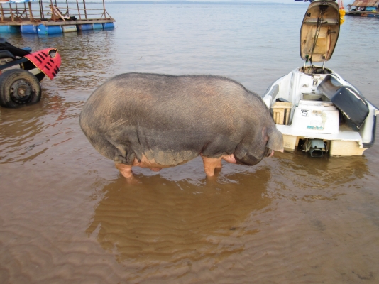 แนะนำร้านซ่อมเครื่องเรือและเจทสกี