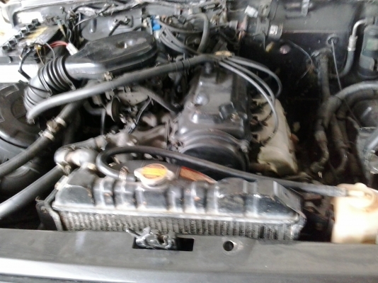 ขาย คาริเบียนเดิมๆสภาพดีใช้มาน้อย