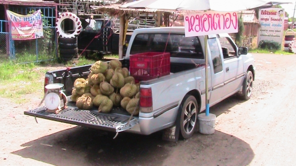 ขายด่วน