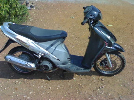 สเตปปี49 ราคาเบา ๆ