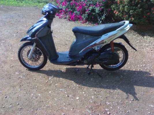 สเตปปี49 ราคาเบา ๆ