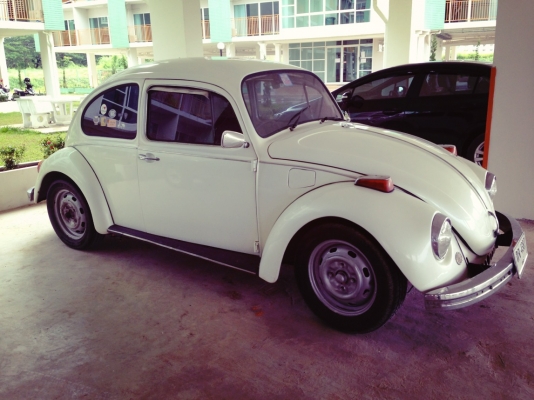 ขาย Volk เต่า 1969