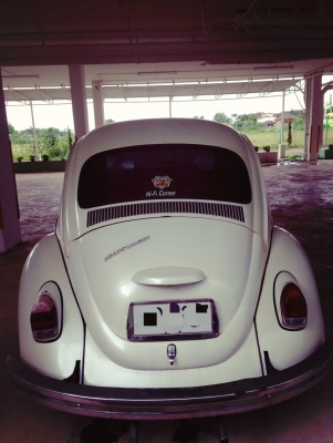 ขาย Volk เต่า 1969