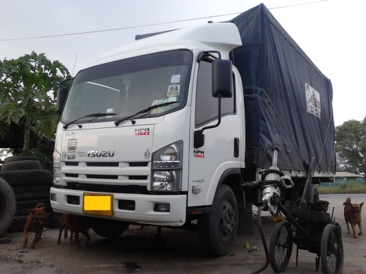 ปรับราคาลดสุดๆครับขายสด980,000หรือขายดาวน์ 480,000 ผ่อนต่ออีก 36งวดครับ รถหกล้อ NPR 150 แรงม้า ปี54พร้อมใช้