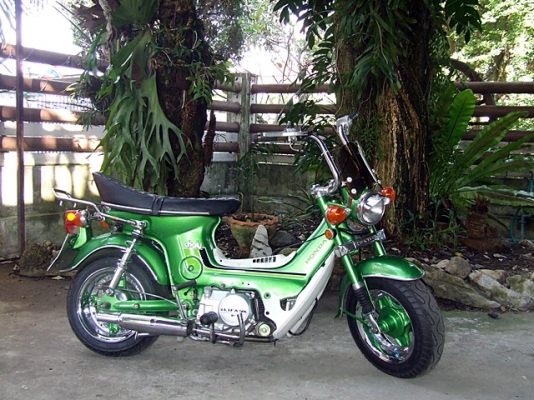 ชาลี ทะเบียนแท้เล่มเขียว พร้อมโอน