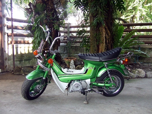 ชาลี ทะเบียนแท้เล่มเขียว พร้อมโอน