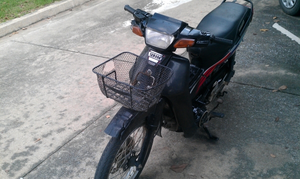 ขาย YAMAHA SUPPER สตาสร์มือพร้อมใช้งาน