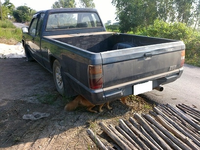 ขายL200แค๊ปท่านใดให้มากกว่า85000โยนเล่มเอกสารพร้อมโอนให้เลย ขายL200แค๊ปท่านใดให้มากกว่า85000โยนเล่มเอกสารพร้อมโอนให้เลย