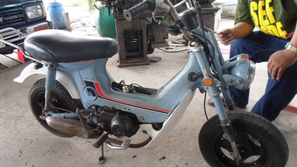 ชาลี เดิม ๆ ขาย 13,500 ชาลี เดิม ๆ ขาย 13,500