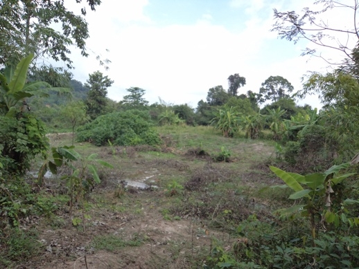 แบ่งขขายที่ดิน อ.บ้านา เขาเพิ่ม นครนายก ที่สวย ไร่ละ 400000 บาท 0812541444