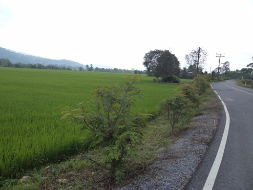 แบ่งขขายที่ดิน อ.บ้านา เขาเพิ่ม นครนายก ที่สวย ไร่ละ 400000 บาท 0812541444