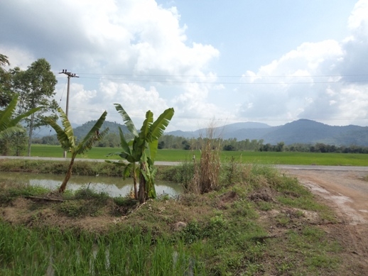 แบ่งขขายที่ดิน อ.บ้านา เขาเพิ่ม นครนายก ที่สวย ไร่ละ 400000 บาท 0812541444