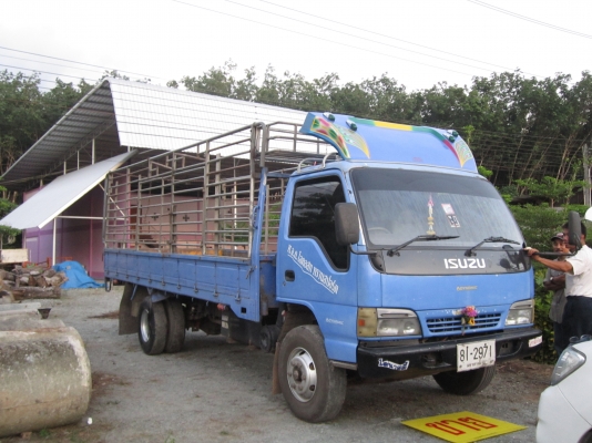 ISUZU-NQRปี47เครื่อง150แรงกะบะยาว5,50เมตรสภาพพร้อมใช้-รถห้าง-