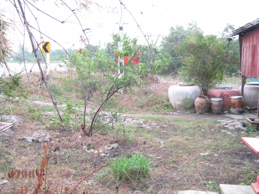 ขายที่ดินติดถนน