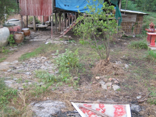 ขายที่ดินติดถนน