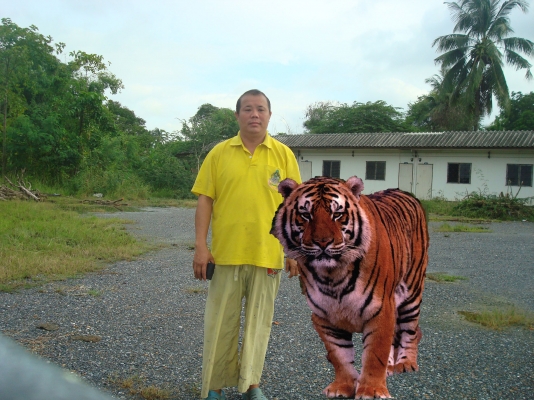 ยี่สิบแรง พร้อมพาน สาม ไม่มี่ที่จอด