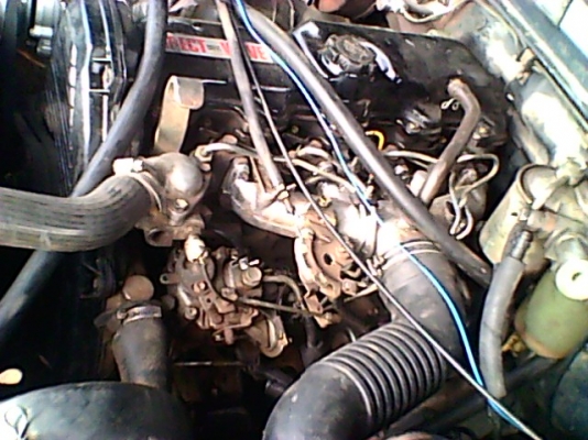 ขายไมตี้เอ็กซ์