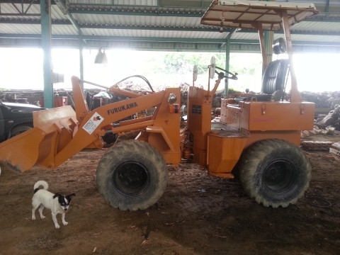 ขายรถตักล้อยาง FURUKAWA รุ่น FL30 เอวอ่อน พร้อมใช้งาน