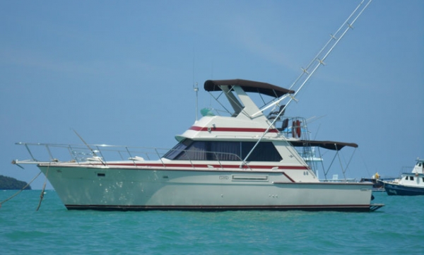 ขายเรือยอร์ช Bertram 42 ปี 1982