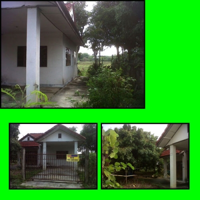 ขายบ้านพร้อมที่ดิน ที่ ป่าซาง ลำพูน ที่ บ้านสวยกิตติภูมิ