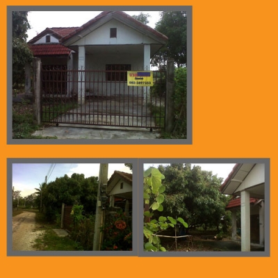 ขายบ้านพร้อมที่ดิน ที่ ป่าซาง ลำพูน ที่ บ้านสวยกิตติภูมิ