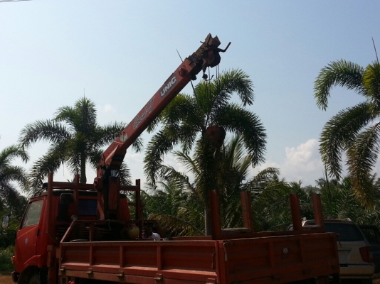 HINO KM 777 ติดเครน 2.9 ตัน  พี่ต้อม จังหวัดเพชรบุรี มัดจำแล้วค่ะ นัดรับรถในวันที่ 8/05/57ค่ะ