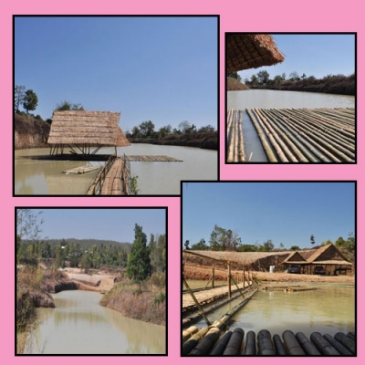 ขายที่ดินด่วน12 ไร่ ทำเลสวย ที่ดินงาม ที่หางดง เชียงใหม่