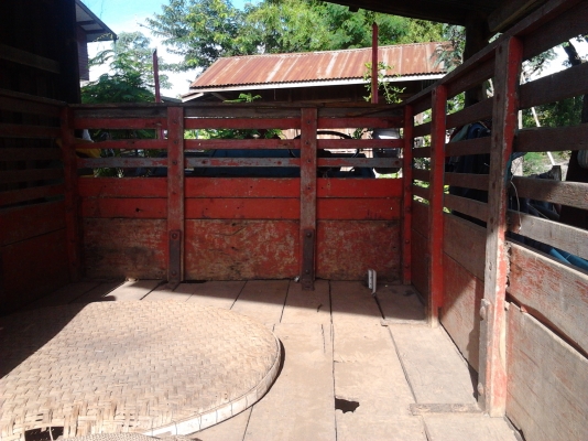 ขายไม่แพงอีแต๋นบ้านๆ ขายพร้อมเครื่องซื้อไปใช้ทำงานได้เลย โทร081-0745778ลุงโหนกรับสายจ้า