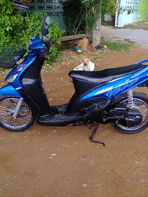 ปิดการขายส่งแกลง+หลักฐาน